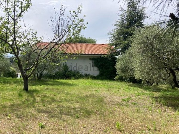 terreno agricolo in vendita a Senigallia in zona Borgo Passera