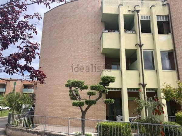 appartamento in vendita a Senigallia