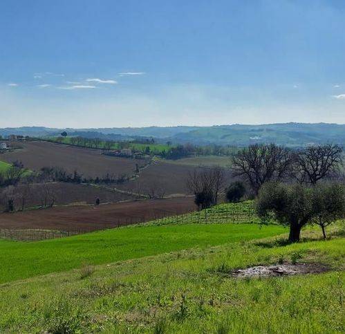 casa indipendente in vendita a Senigallia in zona Roncitelli