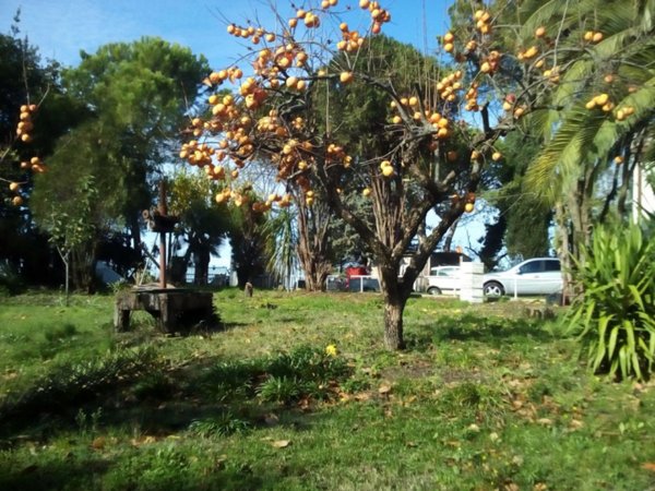 casa indipendente in vendita a Senigallia