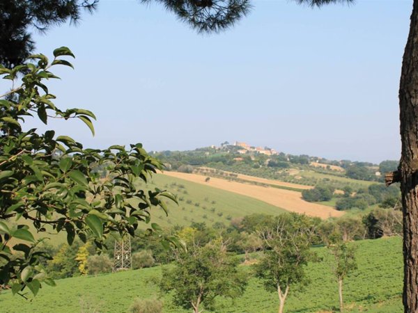 terreno agricolo in vendita a Senigallia in zona Scapezzano