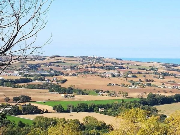 terreno agricolo in vendita a Senigallia in zona Scapezzano