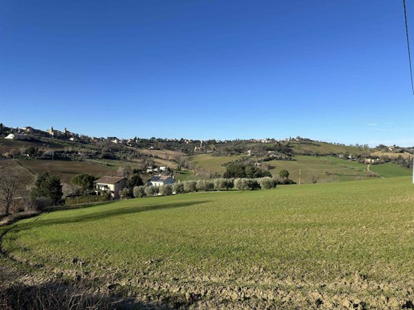 terreno agricolo in vendita a Senigallia in zona Bettolelle