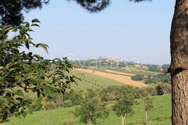 terreno agricolo in vendita a Senigallia in zona Scapezzano