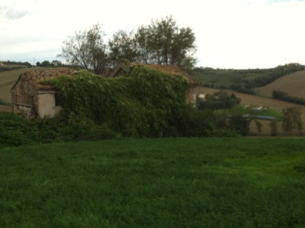 casale in vendita a Senigallia in zona Sant'Angelo
