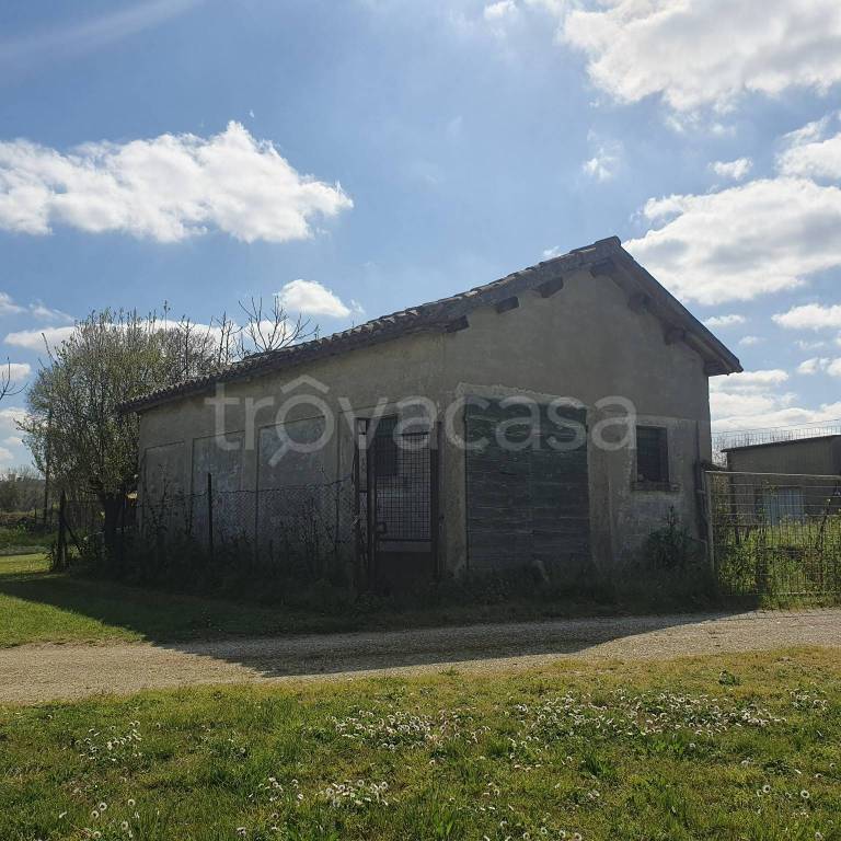 locale commerciale in vendita a Senigallia in zona Cannella