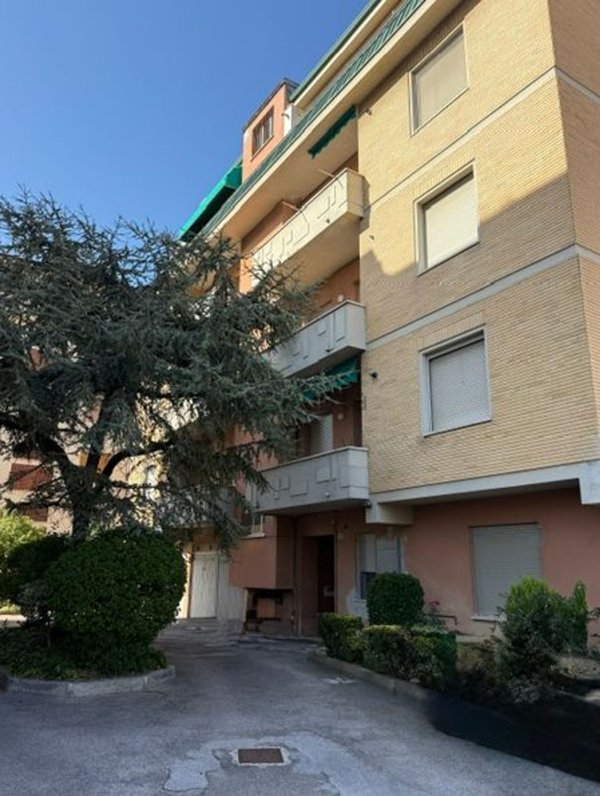 appartamento in vendita a Senigallia