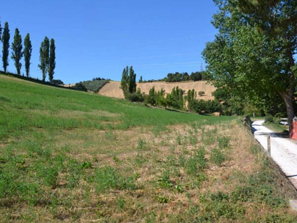 terreno agricolo in vendita a Senigallia in zona Borgo Passera