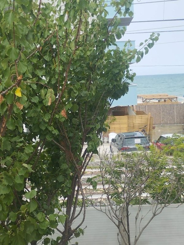 casa indipendente in vendita a Senigallia in zona Marzocca