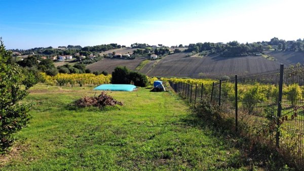 terreno agricolo in vendita a Senigallia in zona Sant'Angelo