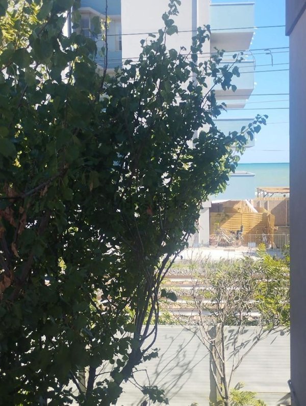 appartamento in vendita a Senigallia in zona Gabriella