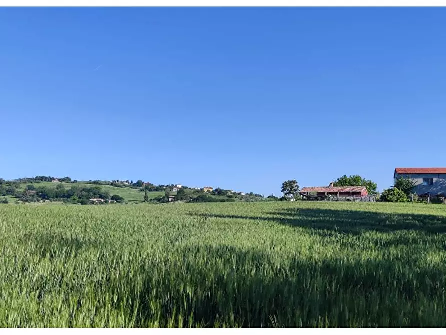 terreno agricolo in vendita a Serra de' Conti