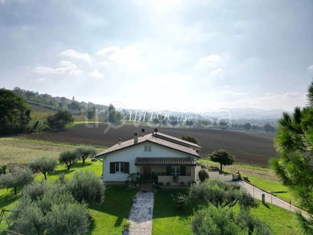 casa indipendente in vendita a Serra de' Conti