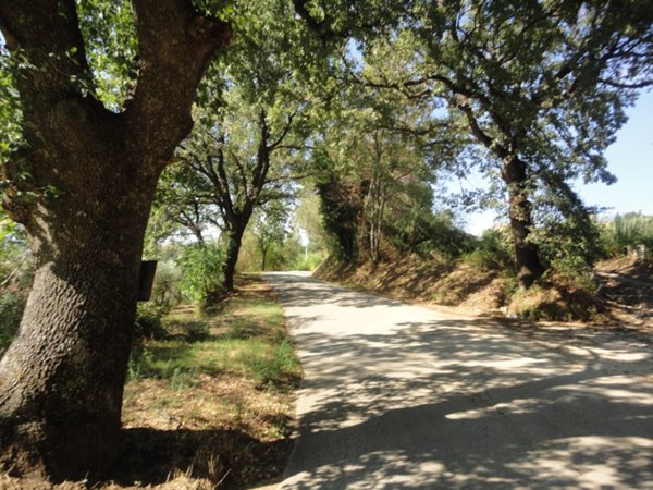 terreno agricolo in vendita a Serra de' Conti
