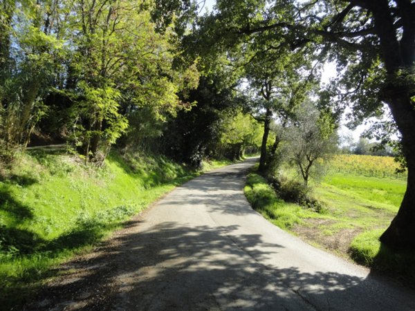 terreno agricolo in vendita a Serra de' Conti