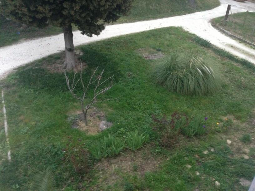 appartamento in vendita a Serra de' Conti