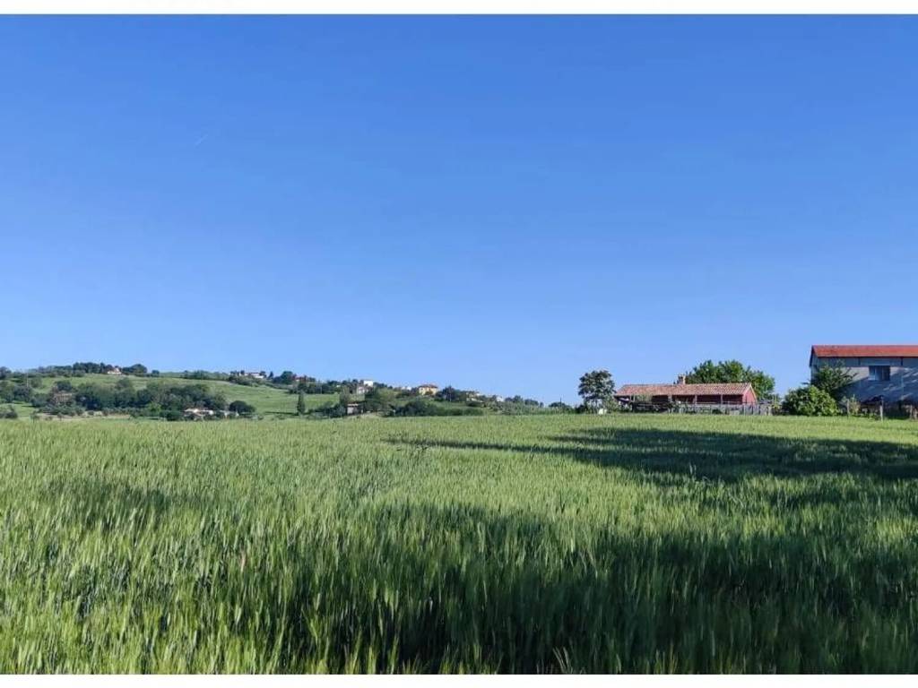 terreno agricolo in vendita a Serra de' Conti