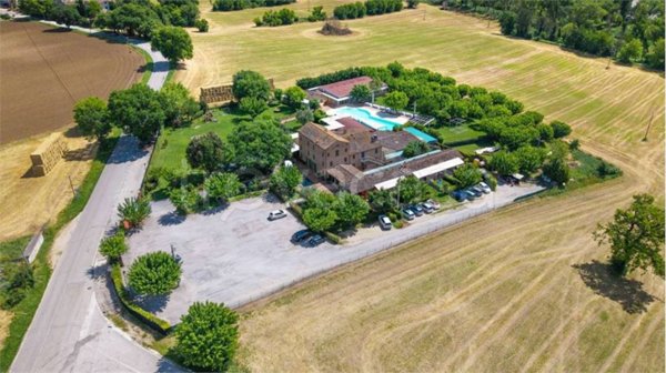 terreno agricolo in vendita a Serra de' Conti