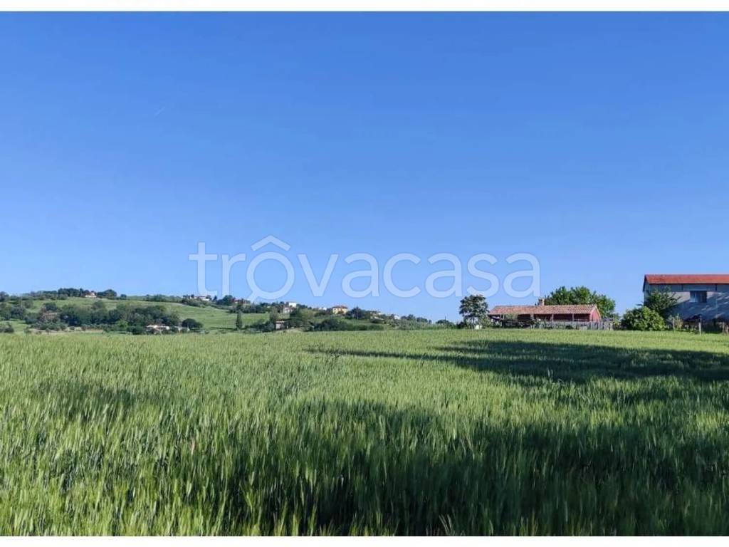 terreno agricolo in vendita a Serra de' Conti