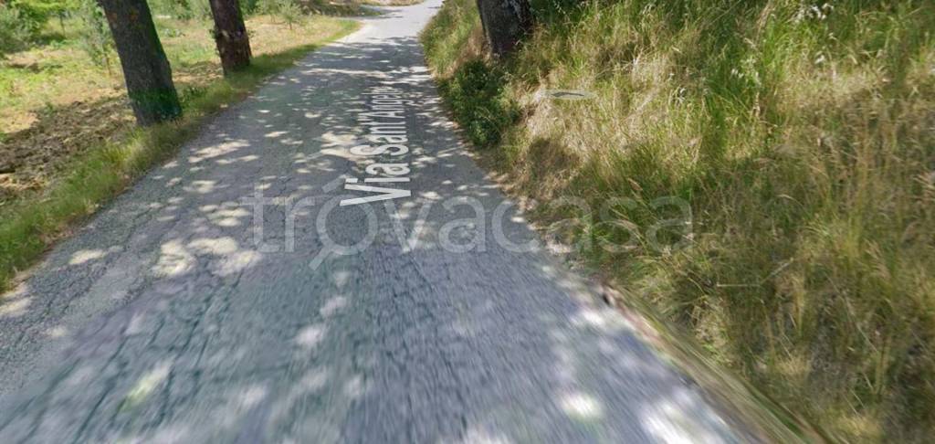 terreno agricolo in vendita a Serra de' Conti