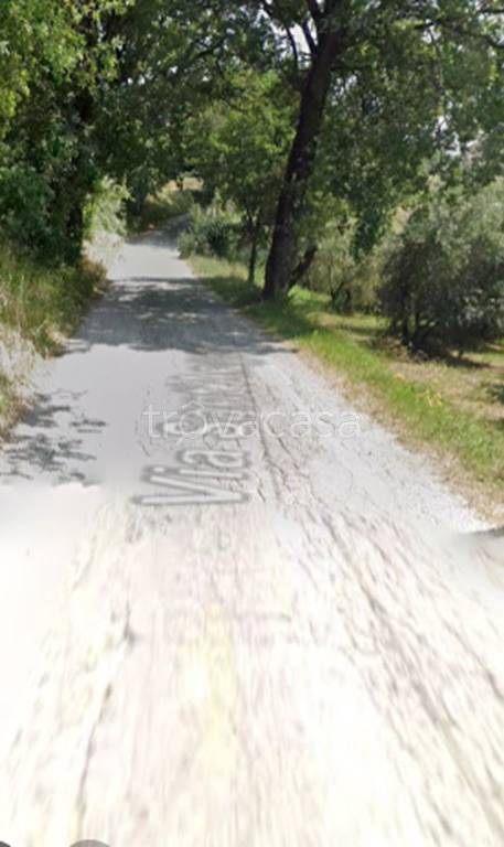 terreno agricolo in vendita a Serra de' Conti