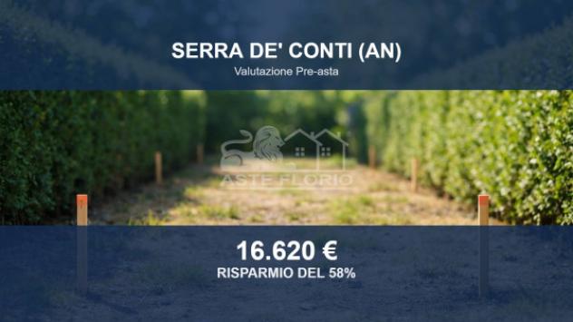 terreno agricolo in vendita a Serra de' Conti