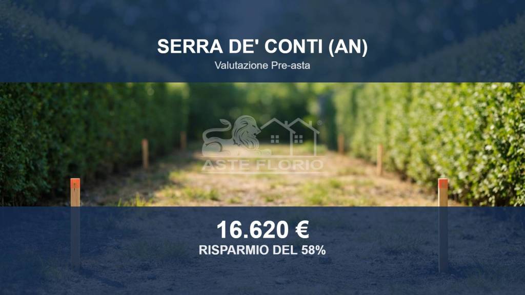 terreno agricolo in vendita a Serra de' Conti