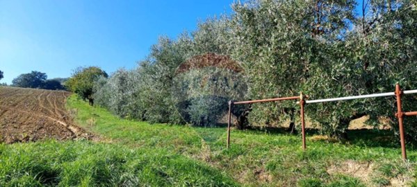 terreno agricolo in vendita a Serra San Quirico