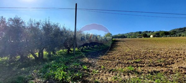 terreno agricolo in vendita a Serra San Quirico