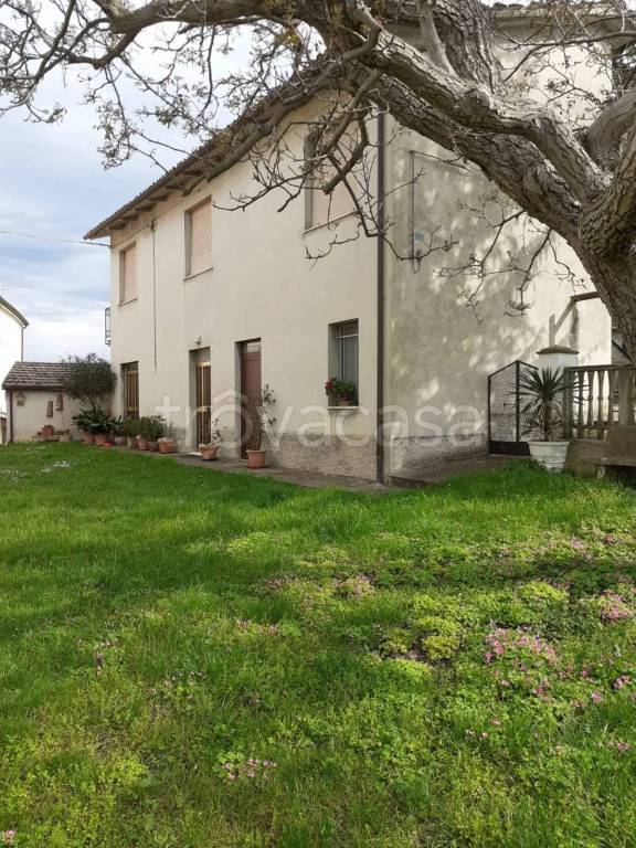 casa indipendente in vendita a Serra San Quirico in zona Sasso