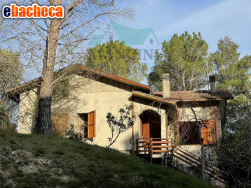 appartamento in vendita a Serra San Quirico
