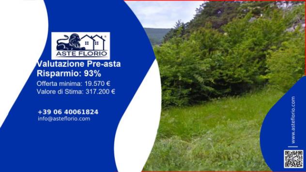 terreno agricolo in vendita a Serra San Quirico