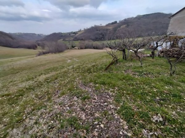 appartamento in vendita a Serra San Quirico