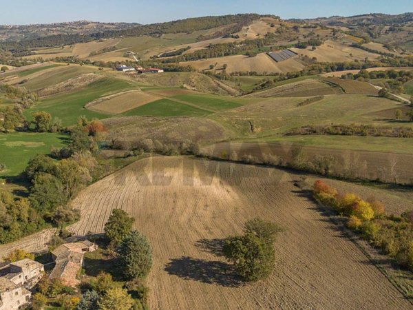terreno agricolo in vendita a Serra San Quirico in zona Domo