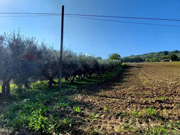 terreno agricolo in vendita a Serra San Quirico