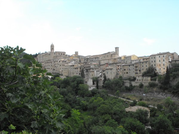 negozio in vendita a Serra San Quirico