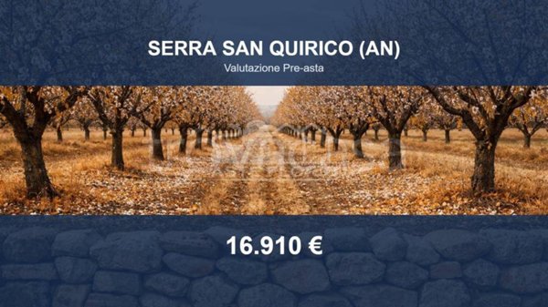 terreno agricolo in vendita a Serra San Quirico