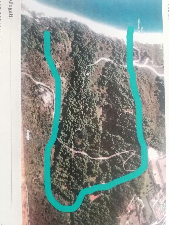 terreno agricolo in vendita a Sirolo