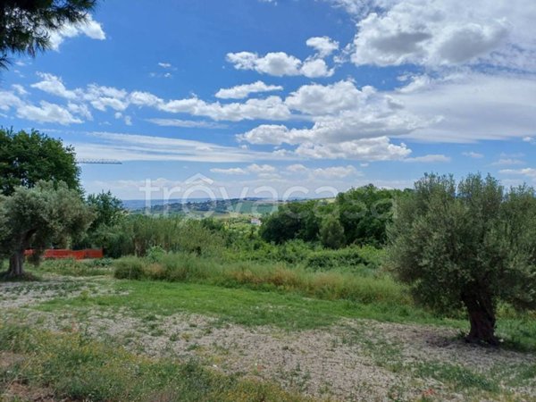 terreno agricolo in vendita a Sirolo