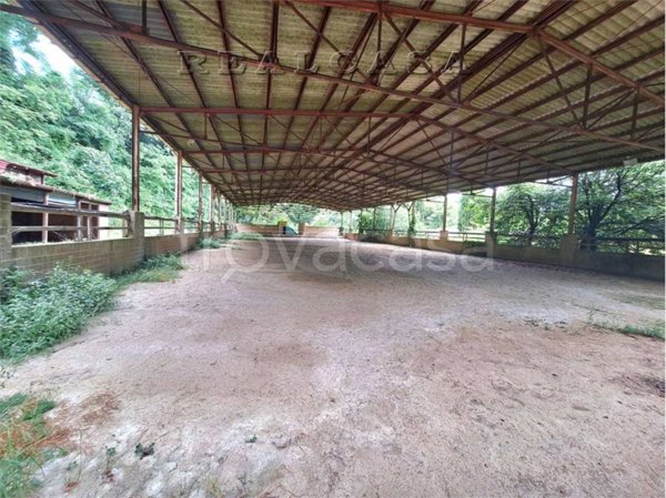 azienda agricola in vendita a Sirolo