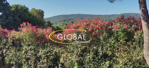 casa indipendente in vendita a Sirolo