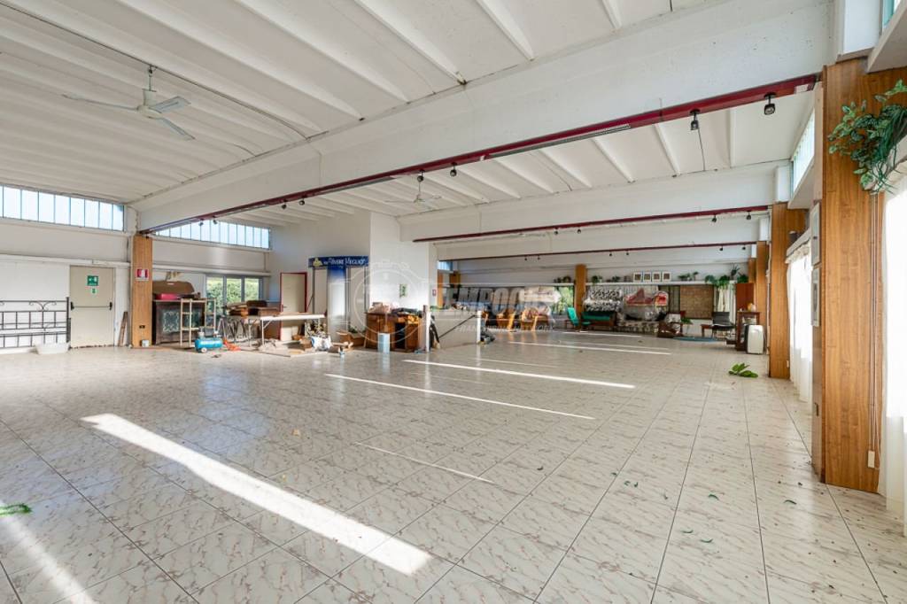 appartamento in vendita a Sirolo