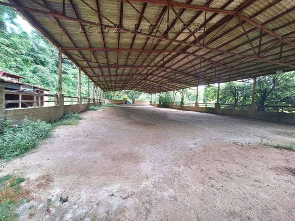 negozio in vendita a Sirolo