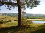 casa indipendente in vendita a Staffolo