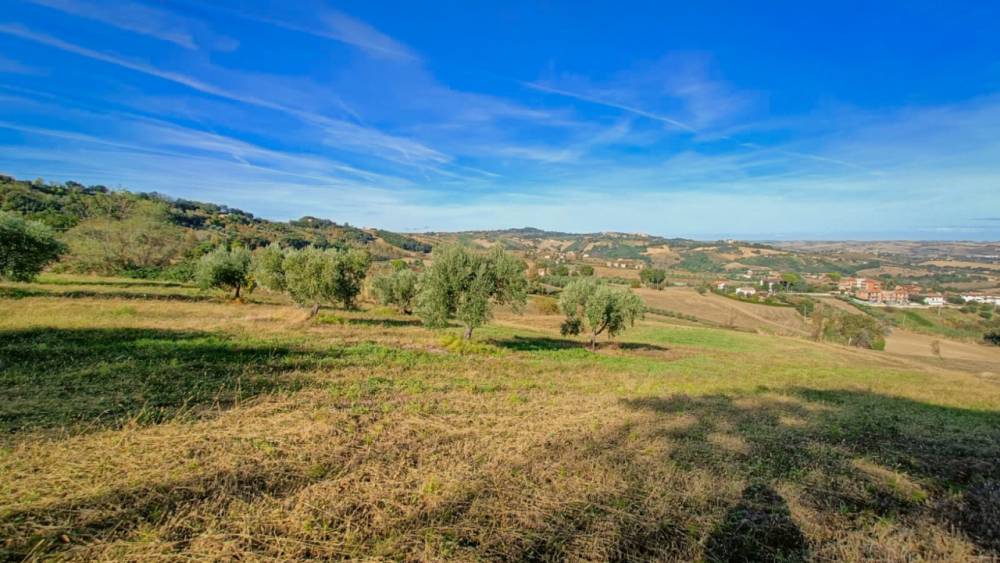 casa indipendente in vendita a Staffolo