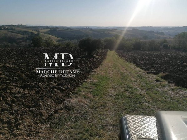 terreno agricolo in vendita a Staffolo
