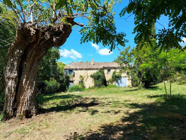 casale in vendita a Staffolo