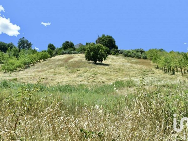 terreno agricolo in vendita a Staffolo