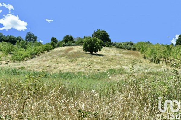 terreno agricolo in vendita a Staffolo