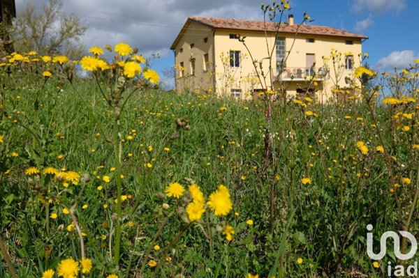 casa indipendente in vendita a Staffolo
